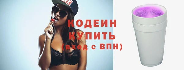 хмурый Бородино